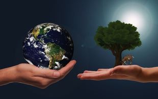 South African regulatory trends in respect of the incorporation of ESG Principles