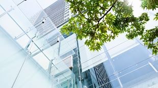 Upward shot of corporate glass buildings and an overlapping tree branch with green leaves against the sky
