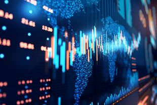 Investment Treaties