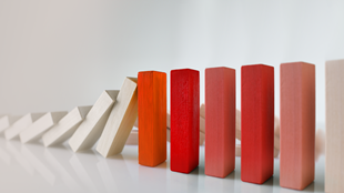 Fight or flight?: The Pursuit of Stability and Integrity in the Insurance Industry