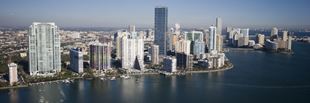 Miami Skyline