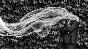 Beyond the Veil: Alberta Court Pierces Corporate Veil on the Basis of Authorized Agency