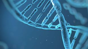 microscopic view of genes
