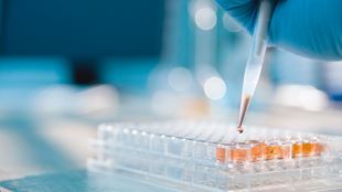 liquide dans des tubes pour biotests