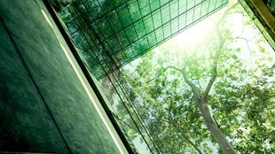 Sustainble green building. Eco-friendly building in modern city. Sustainable glass office building with tree for reducing carbon dioxide. Office with green environment. Corporate building reduce CO2.