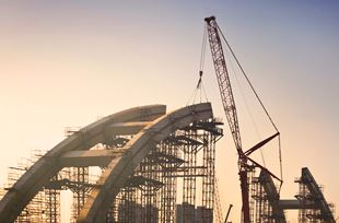 Construction Litigation