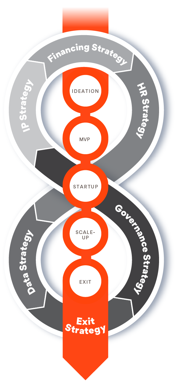 Startup lifecyle infographic