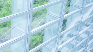 forest seen through square windows