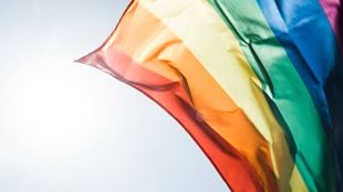Perspectives de la communauté LGBTQ2S+ : une discussion sur l’intersectionnalité et son rôle dans l’inclusion