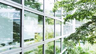 square windows by tree