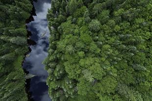 Canada's ESG Landscape: Key Insights and Developments