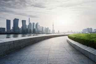 Competition & Foreign Investment