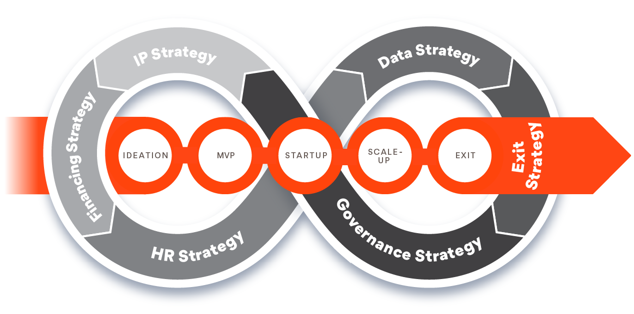 Startup lifecycle infographic