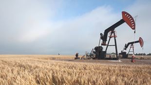 oil drill in field of wheat