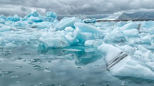 Climate Change and Carbon Markets