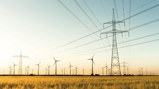 electrical lines in field