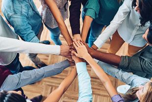 Équité, diversité et inclusion (EDI)