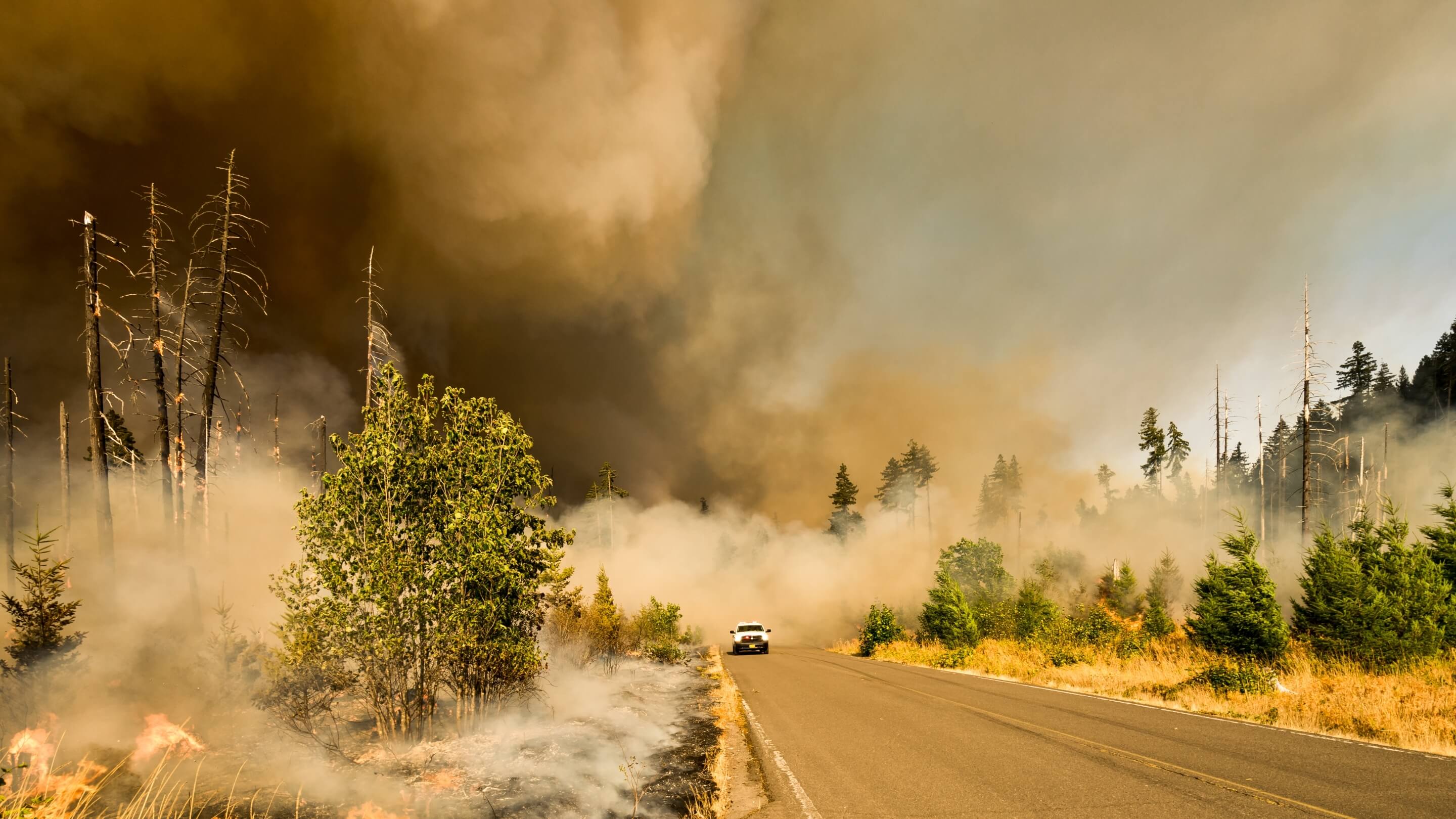 FireSwarm Solutions receives ITB investment from KONGSBERG Canada ...