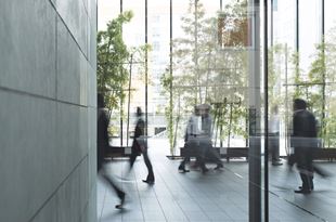 Labour, Employment and Human Rights