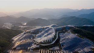 Solar Farm