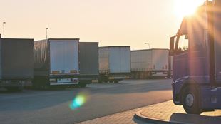 Cross-Border & International Tax
