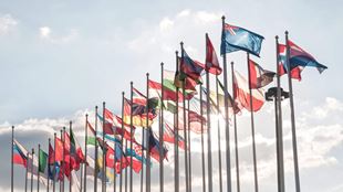 Trade Associations