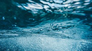 Landmark Decision by the Constitutional Court of South Africa in the Transfer of Water Use Entitlements