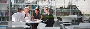 Harassment Investigation Protocols Under Scrutiny