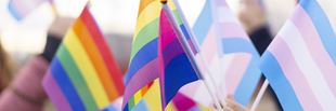 Pride Image