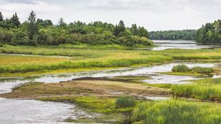 Contaminated Sites
