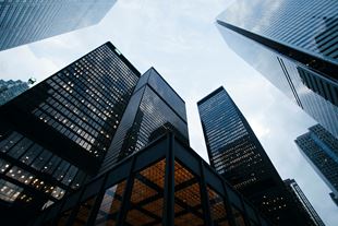 Understanding Business Structures in Québec